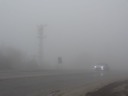 DSC03503