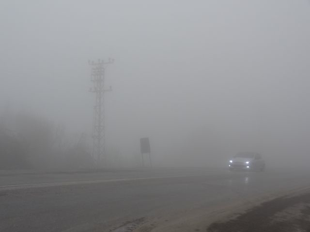 DSC03503
