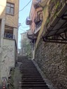DSC03510