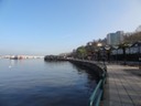 DSC03513