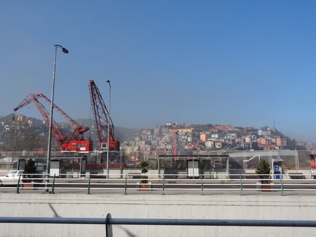 DSC03515