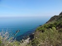 DSC03521