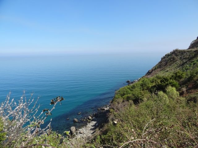 DSC03521