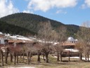 DSC03537