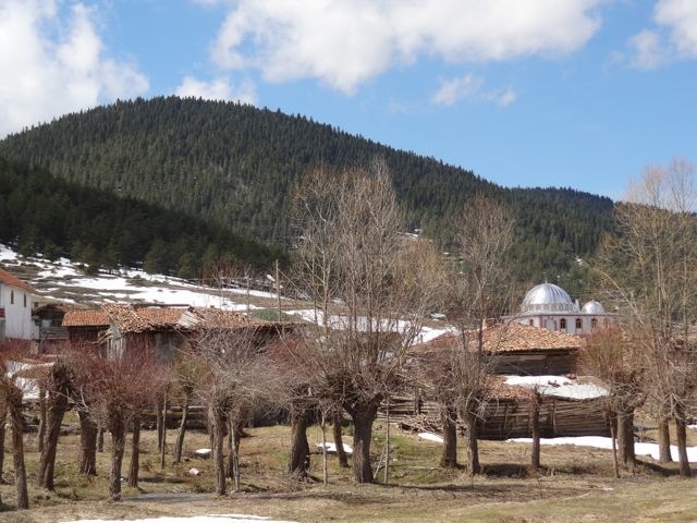 DSC03537