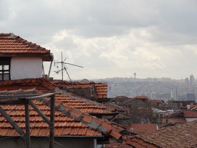 DSC03561
