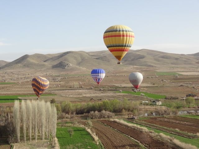 DSC03702
