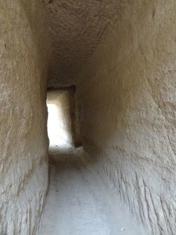 DSC03712