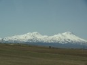 DSC03784
