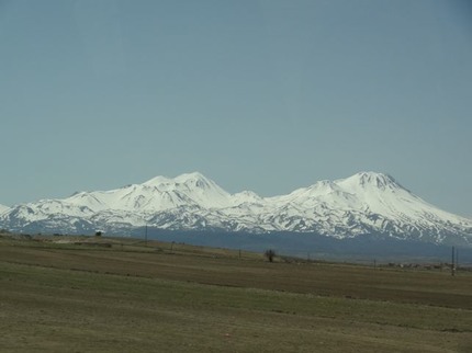 DSC03784