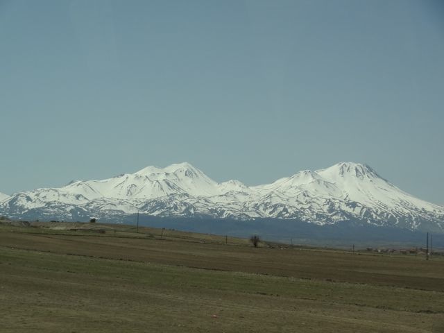 DSC03784