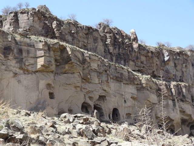 DSC03800