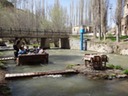 DSC03806