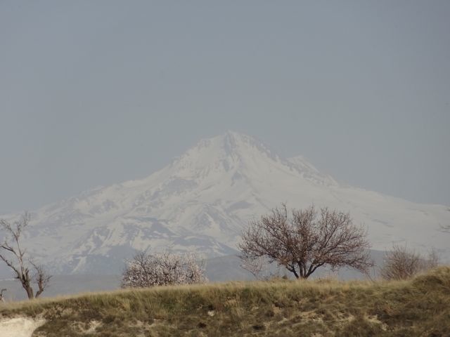 DSC03835