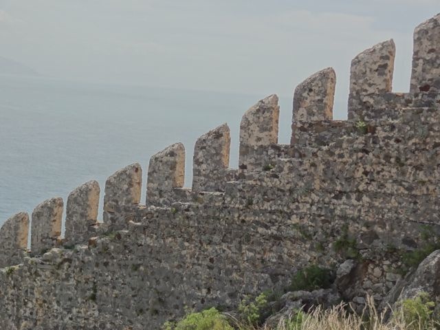 DSC03867