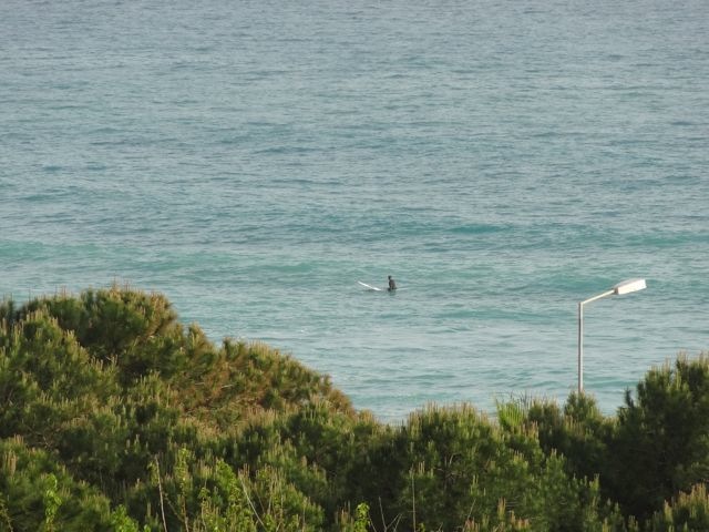 DSC03899