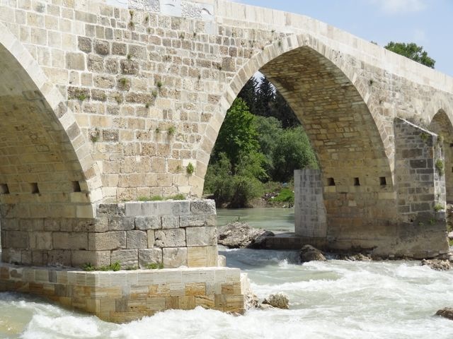 DSC03937
