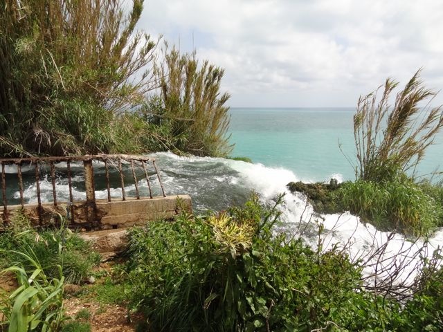 DSC03945