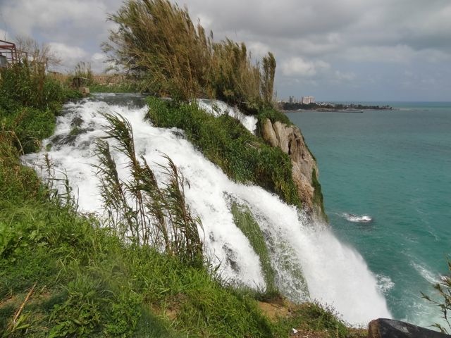 DSC03946