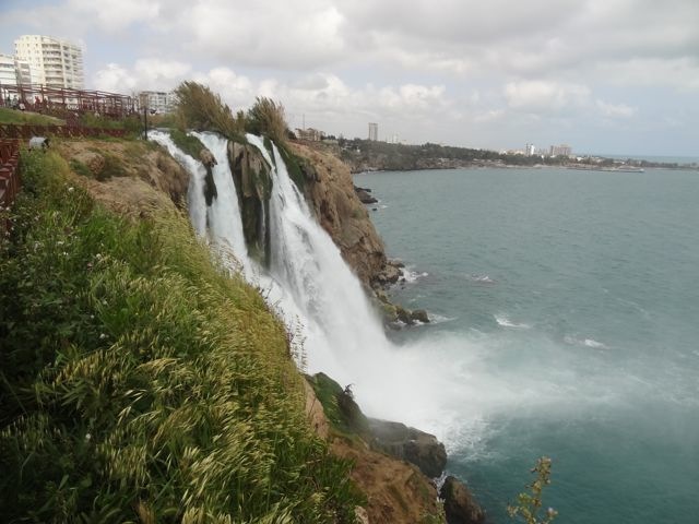 DSC03947