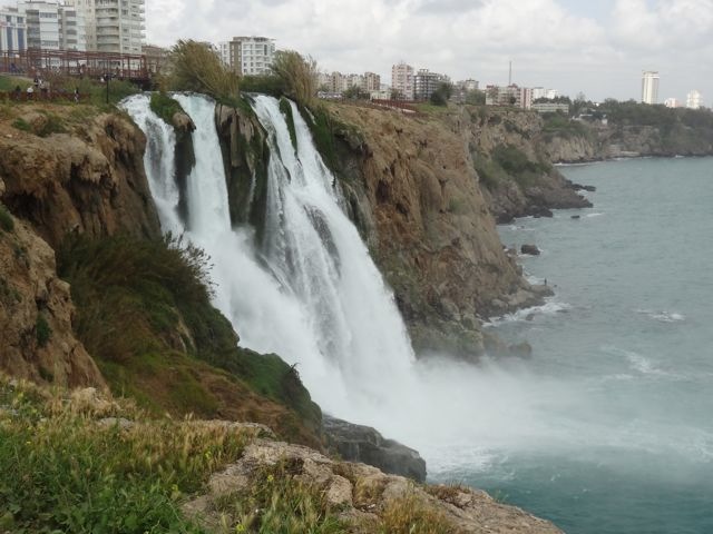 DSC03949