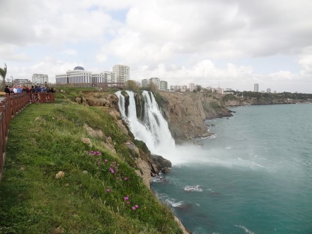 DSC03952