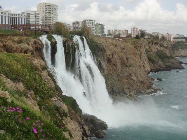 DSC03953