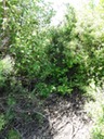 DSC04037