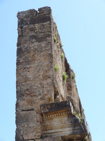 DSC04039