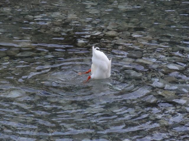 DSC04090