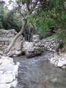 DSC04095