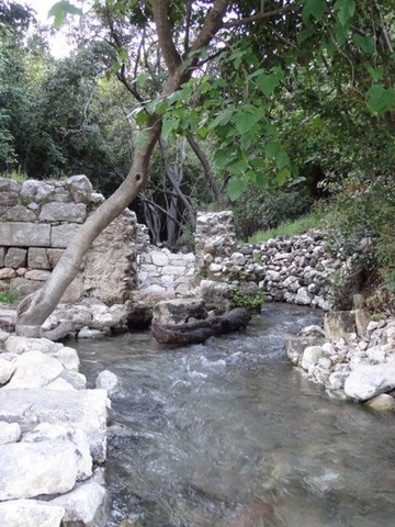 DSC04095