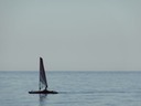 DSC04104