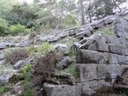 DSC04124