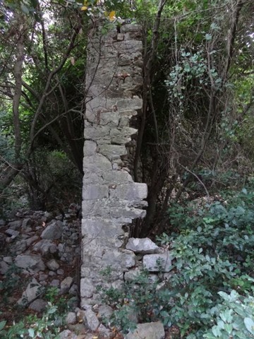 DSC04125