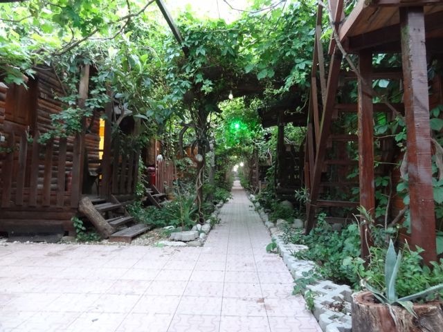 DSC04141