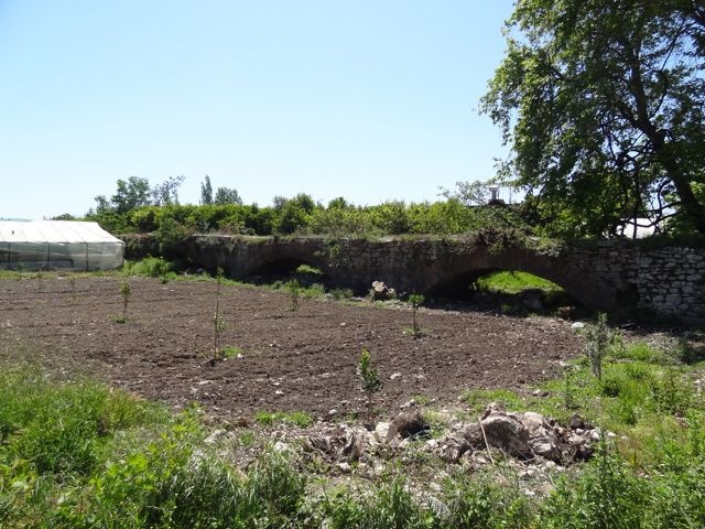 DSC04155