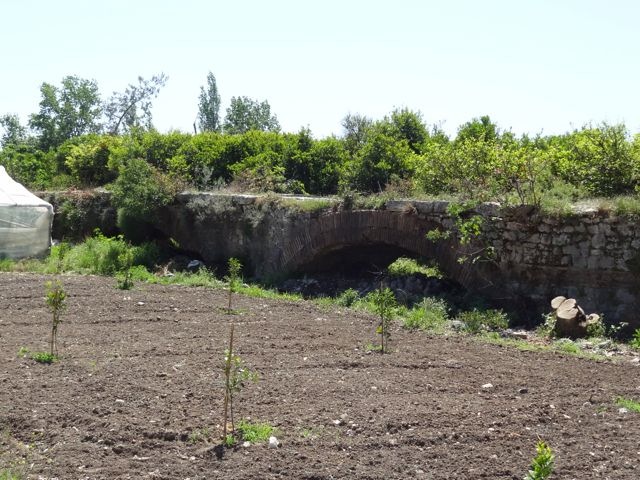 DSC04156