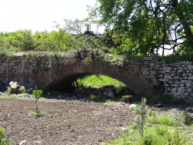 DSC04157