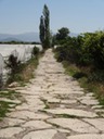 DSC04159