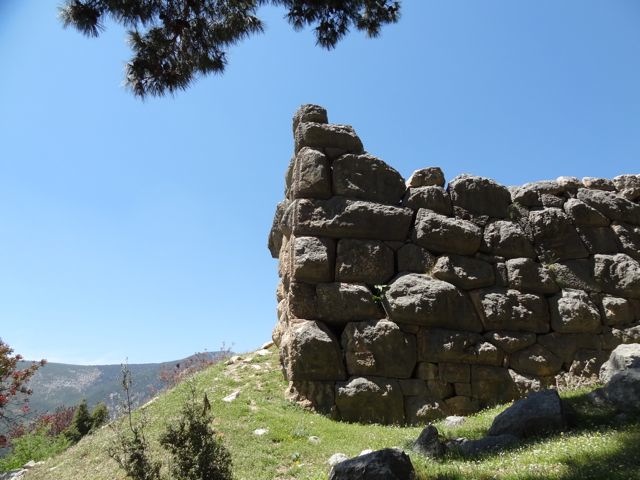 DSC04172