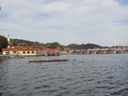 DSC04208
