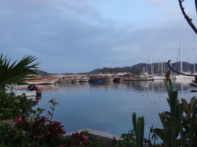 DSC04217