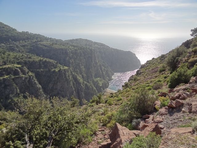 DSC04262