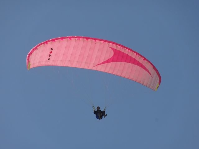 DSC04291