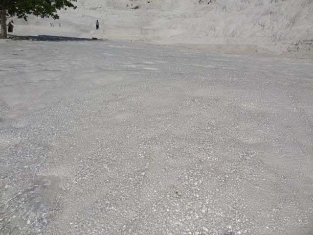 DSC04310