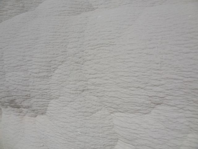 DSC04316