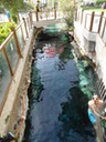 DSC04324