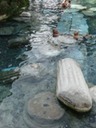 DSC04327