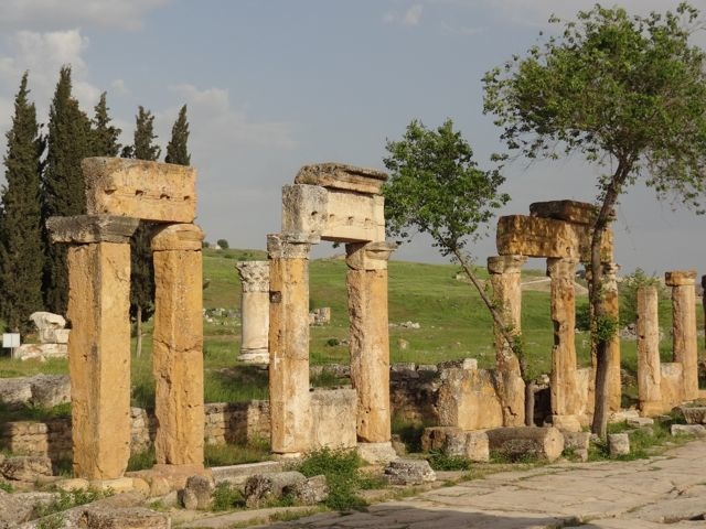 DSC04331